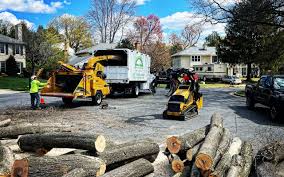 Lawn Renovation and Restoration in Shady Hills, FL