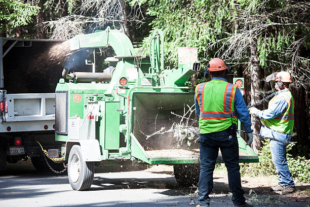 Lawn Watering Services in Shady Hills, FL
