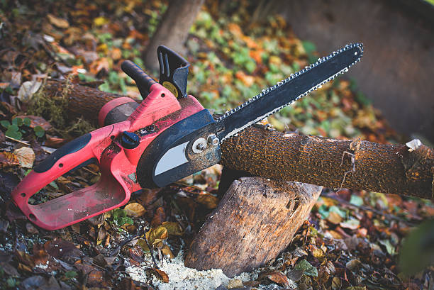 Best Lawn Pest Prevention  in Shady Hills, FL